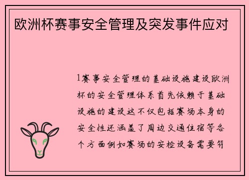 欧洲杯赛事安全管理及突发事件应对